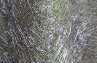 Starveall fibreglass roof work